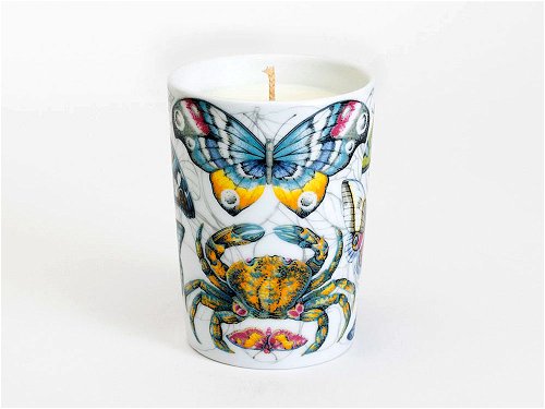 Carpe Diem (Luxury Candle) - Soy candle in a porcelain container