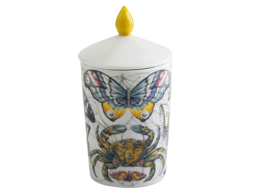 Prima Luce (Luxury Candle) - Soy candle in a porcelain container