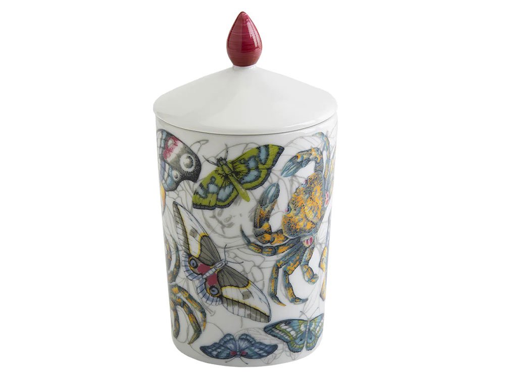 Carezze (Luxury Candle) - Soy candle in a porcelain container